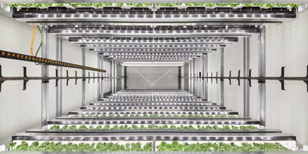 2_Infarm-High-Capacity-Farming-Unit_Credit_Infarm_diephotodesigner.de_-e1639675847323.jpg