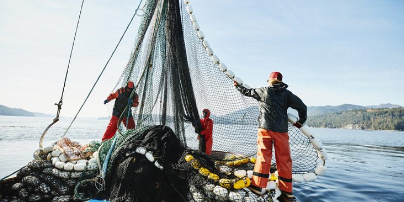 Fishing-industry-Getty-7.jpg