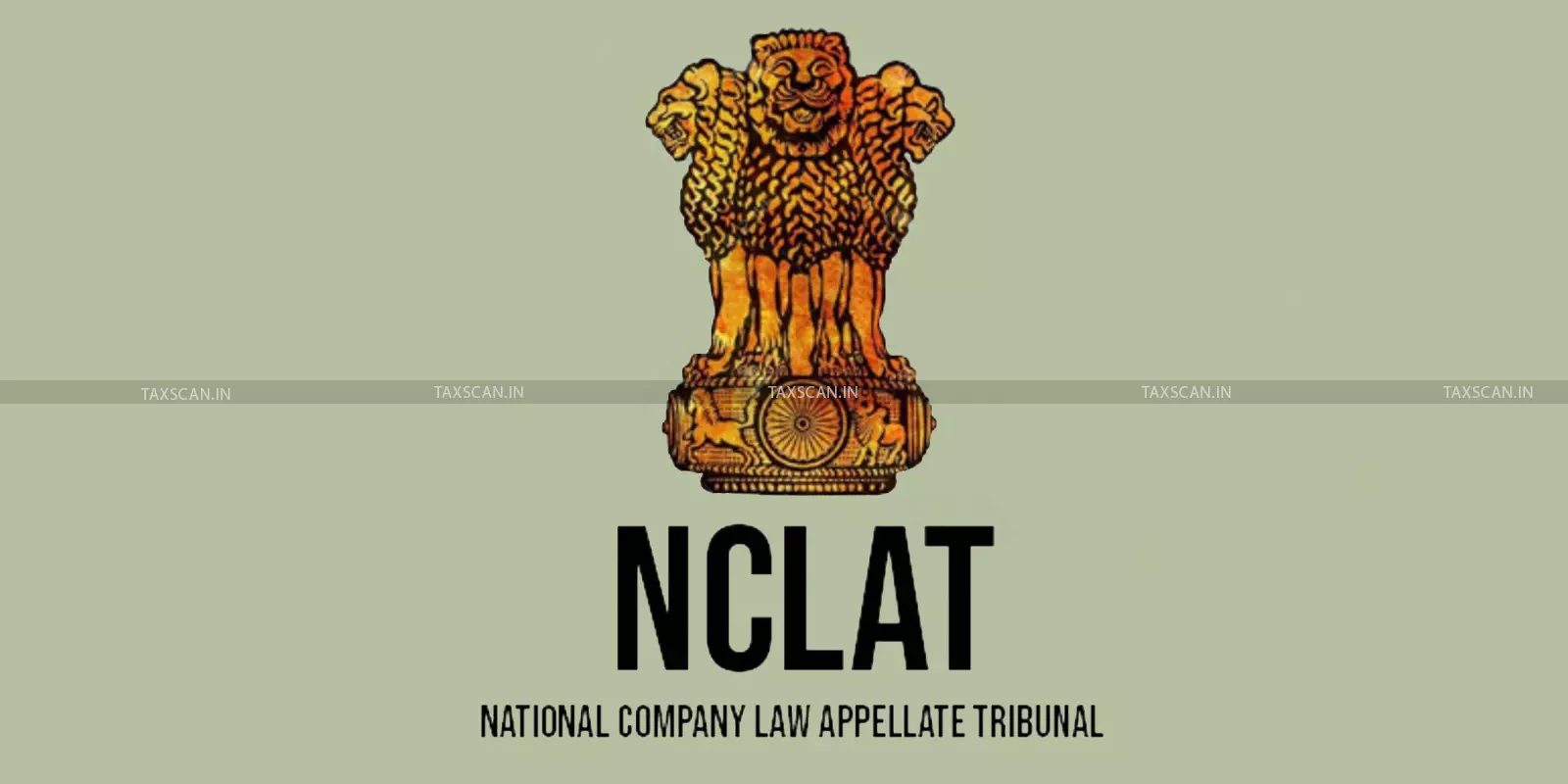 2070761-nclat-cirp-taxscan.jpg