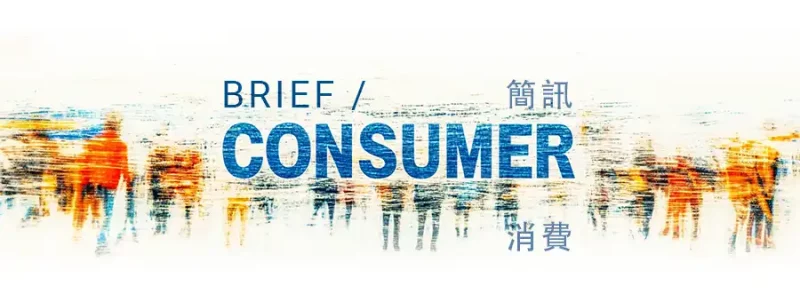 brief-consumer-v3.1.webp.webp
